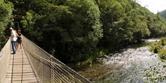 Ponte Colgante Río Eume (Pontedeume)