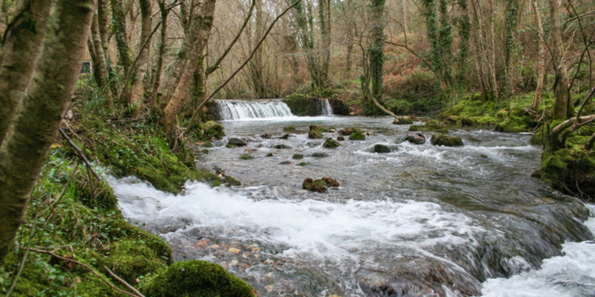 Ruta Sendeiro do Río Castro 2 (Narahío)