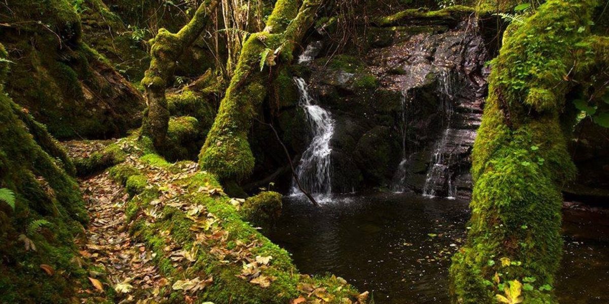 Zona do rio na Ruta das Reigadas