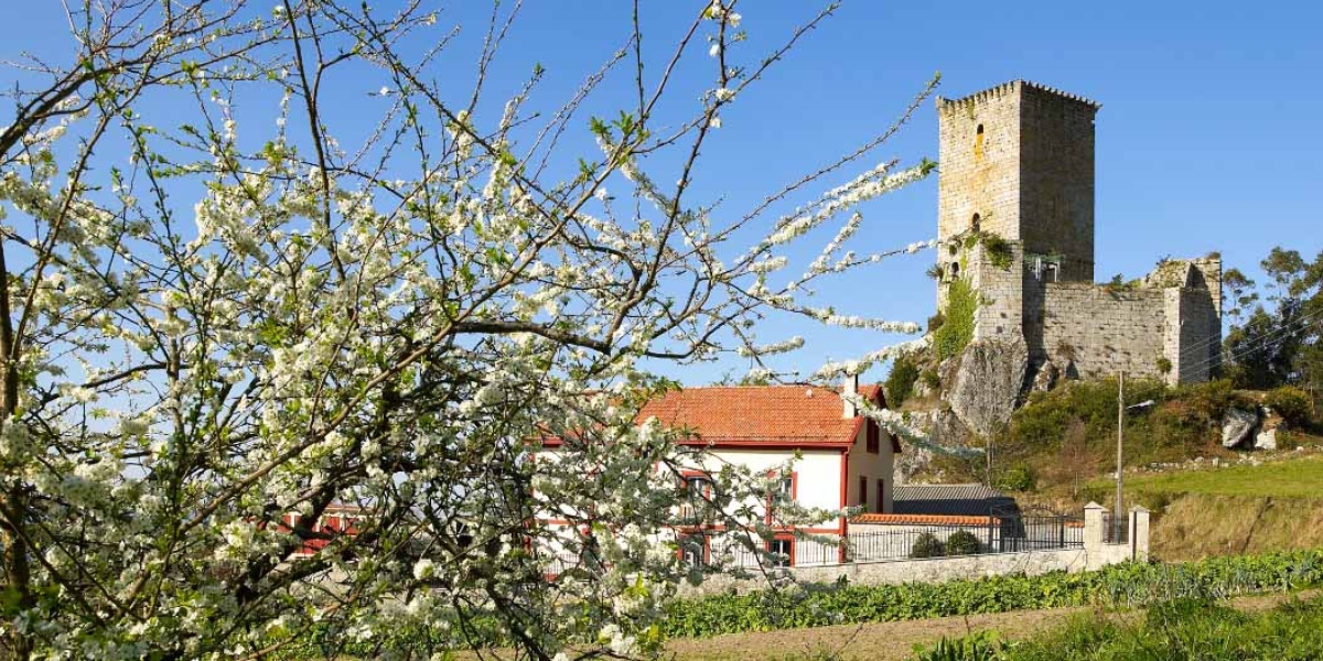 Castelo de Andrade (Pontedeume)